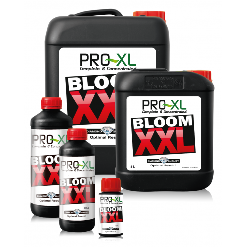 Bloom XXL Pro XL Pro-XL Products