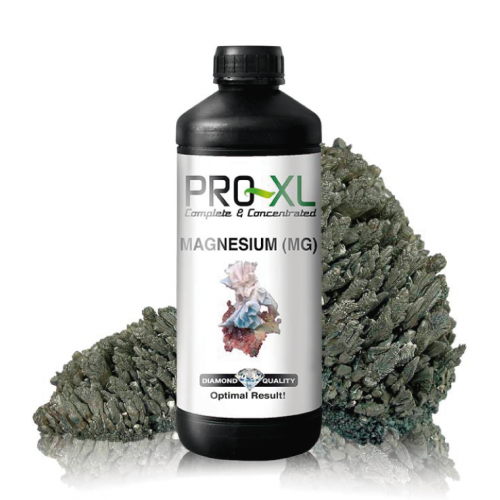 Magnesium Pro XL 1l Pro-XL Produkte