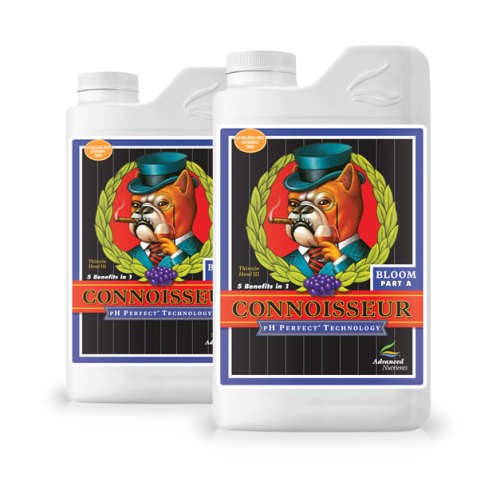 Connoisseur Bloom A+B PH Perfect Advanced Nutrients Advanced Nutrients  GrowShop Fertilizer