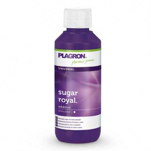 Plagron Sugar Royal 100ml Plagron  Fertilizer