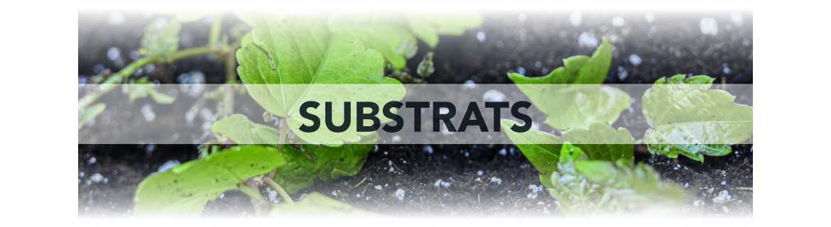 Substrats